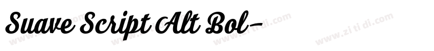 Suave Script Alt Bol字体转换